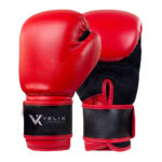 Kick Boxing Gloves